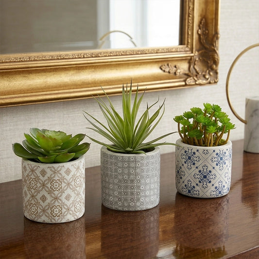 Set of 3 artificial succulents in small cream ceramic pots arranged on a wooden surface