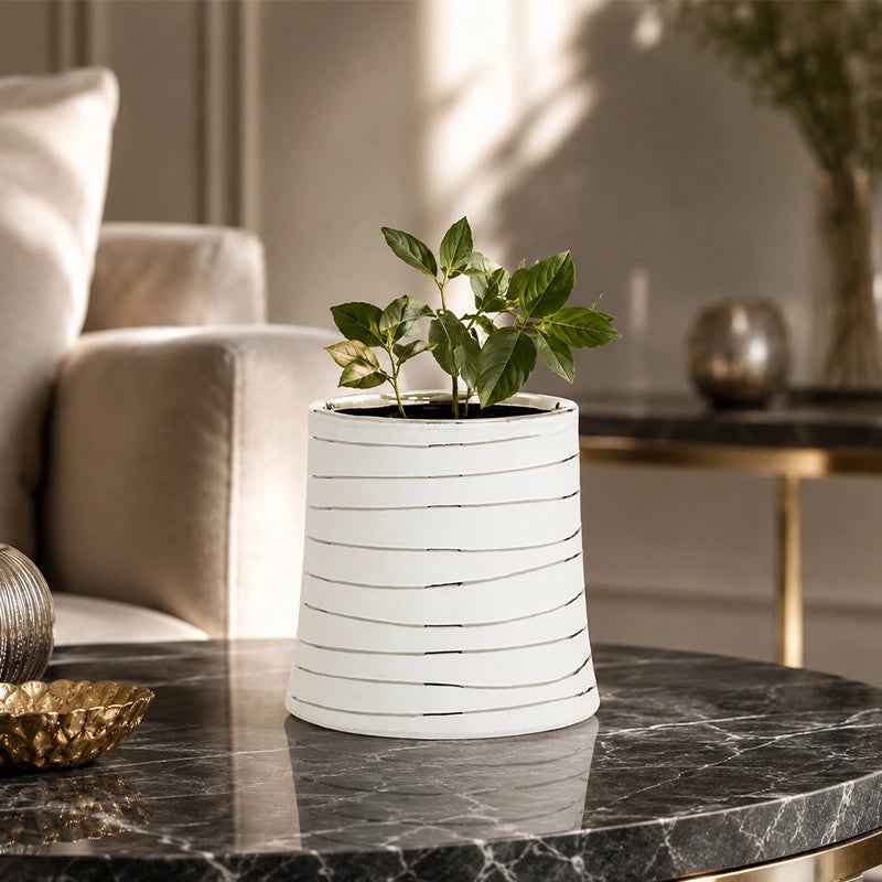 Small white ribbed ceramic planter with a green plant on a marble surface indoors