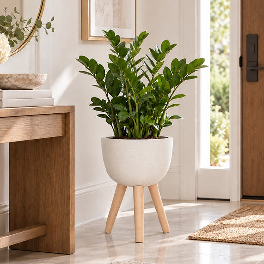 Small white planter on wooden legs with a green plant in a light-filled modern interior