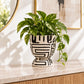 White and black geometric patterned planter with a green indoor plant in a stylish setting