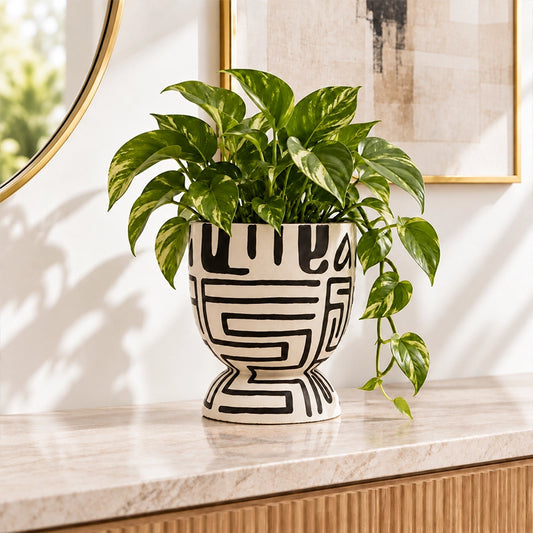 White and black geometric patterned planter with a green indoor plant in a stylish setting