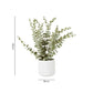 Size reference for an artificial eucalyptus plant in a white pot with height and pot width labelled
