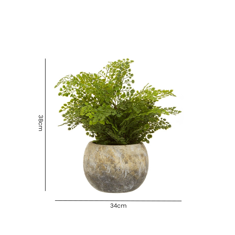 Dimension guide for an artificial fern plant in a natural cement pot showing height and width measurements