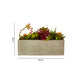 Dimension diagram of artificial succulents in a rectangular cement pot showing length, width, and height