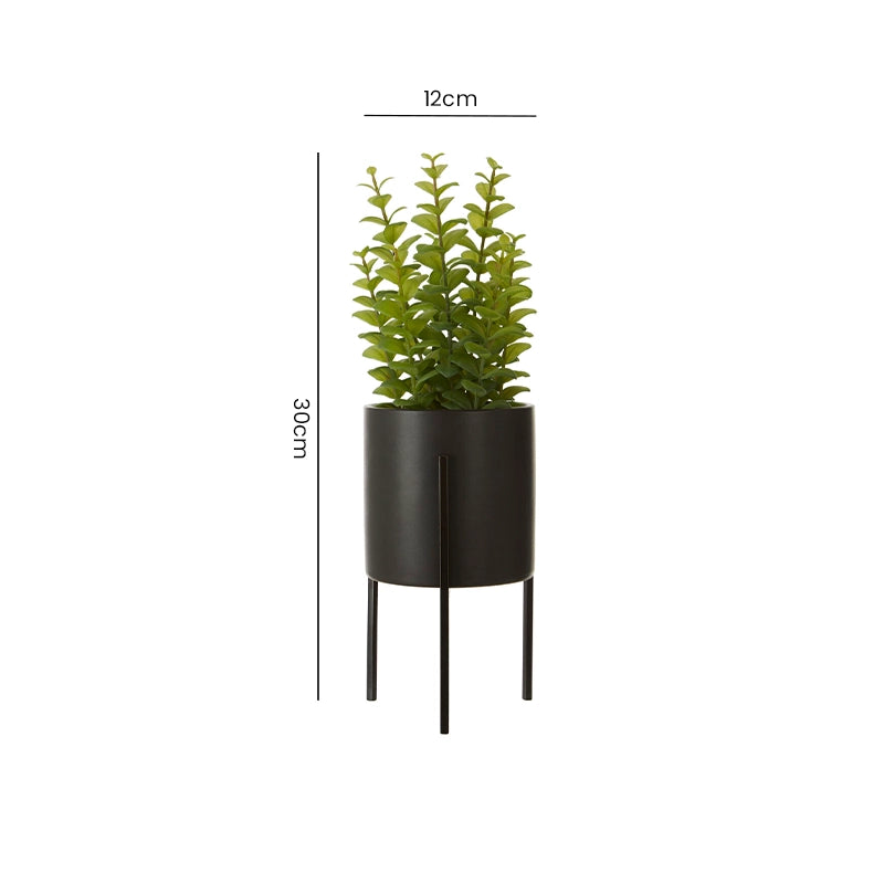 Dimensions of an artificial thyme plant on a black metal stand showing total height and pot measurements