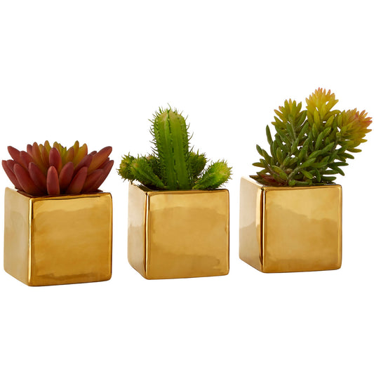 Mini Succulents Fiori with Gold Pot - Set of 3