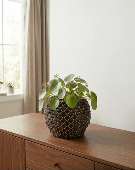 Decorative indoor plant pot with green foliage displayed on a wooden sideboard