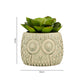 Dimensions of a large artificial succulent in an owl-design ceramic pot with height and width measurements