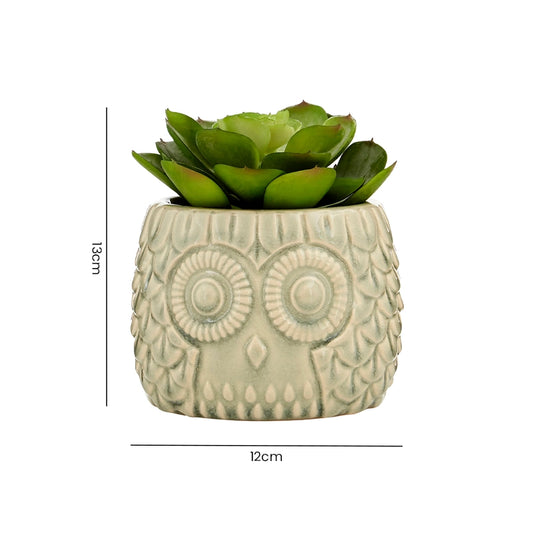 Dimensions of a large artificial succulent in an owl-design ceramic pot with height and width measurements