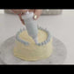 White and Clear PP Cake Decorating Set
