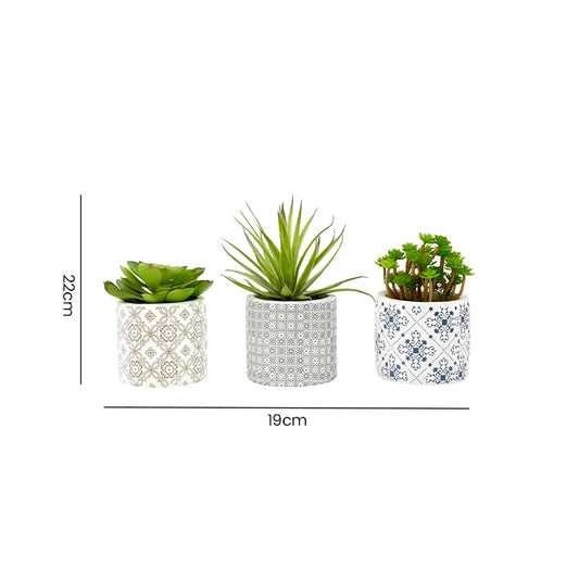 Size guide for a set of 3 artificial succulents in patterned ceramic pots with individual measurements