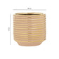 Size guide for a small gold ribbed ceramic planter showing height and width measurements